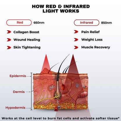 Holamed AuraFLEX™ RED & Infrared Light Therapy Belt