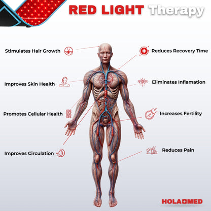 Holamed AuraFLEX™ RED & Infrared Light Therapy Belt